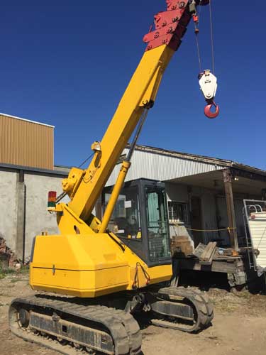 Stone Cold Crane